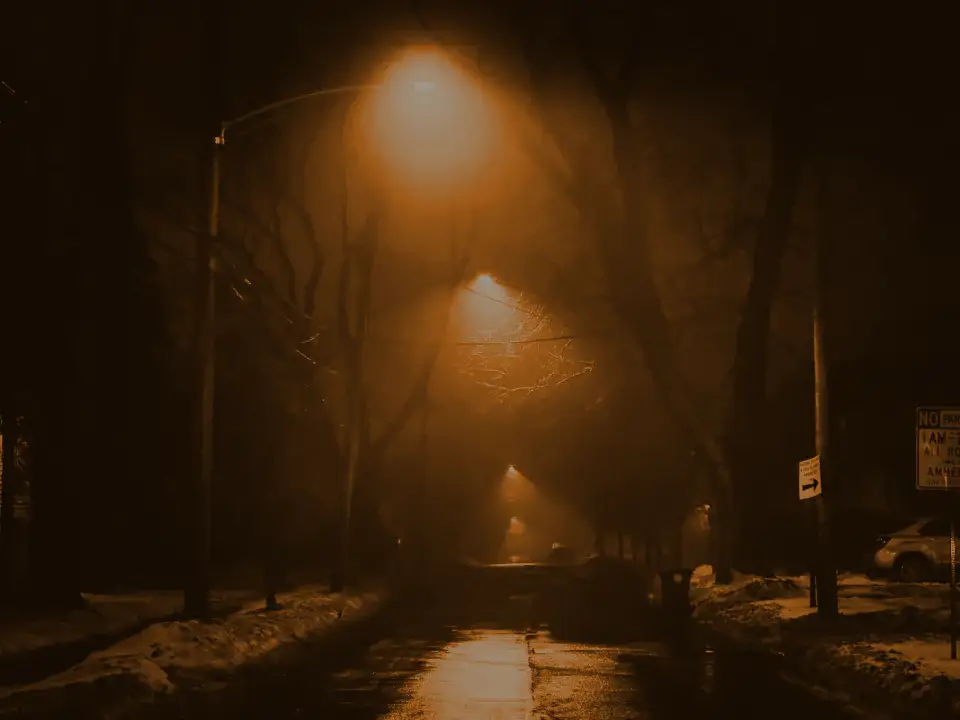 Fog under a single streetlamp, bare trees